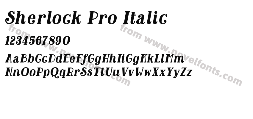 Sherlock Pro ItalicPreview