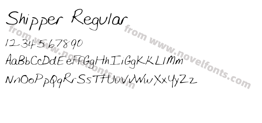 Shipper RegularPreview