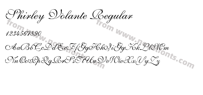 Shirley Volante RegularPreview