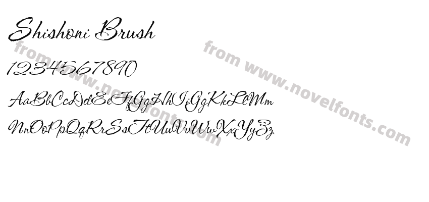 Shishoni BrushPreview