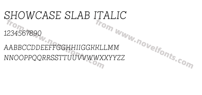 Showcase Slab ItalicPreview