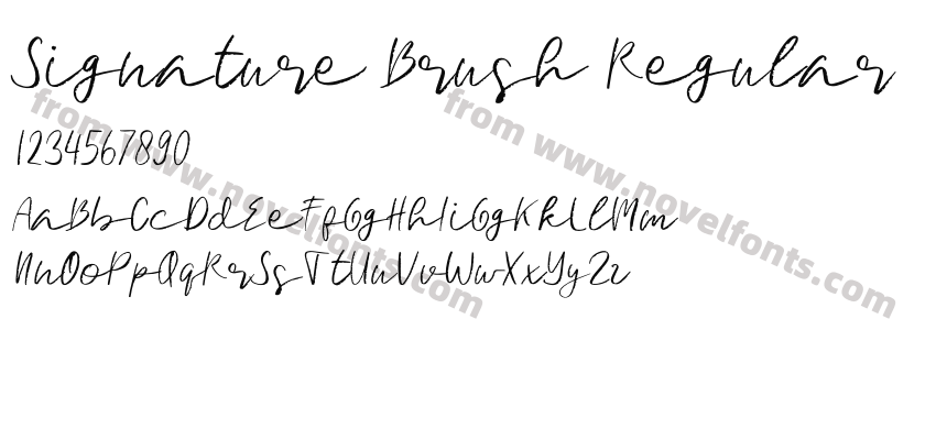 Signature Brush RegularPreview