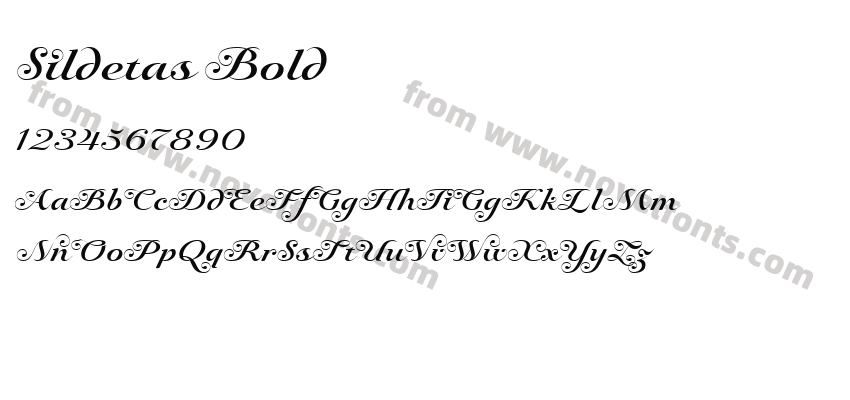 Sildetas BoldPreview