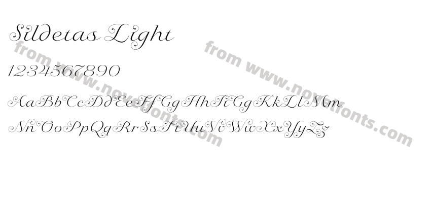 Sildetas LightPreview