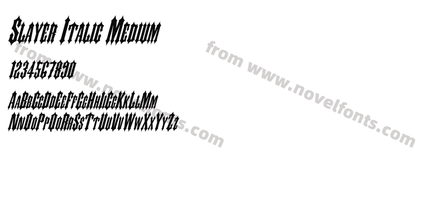 Slayer Italic MediumPreview