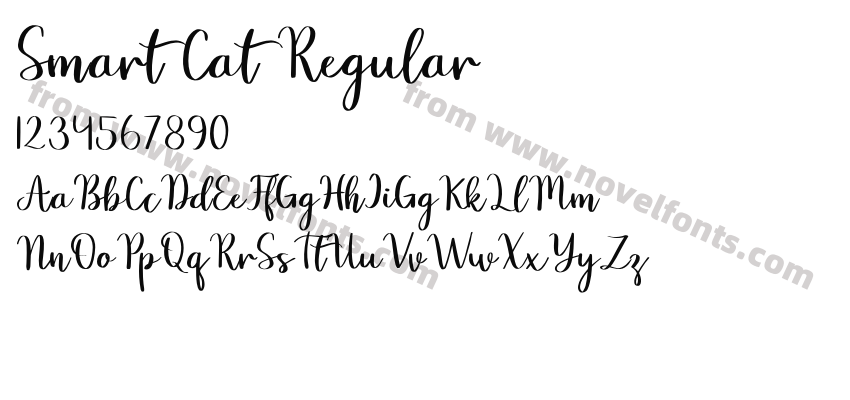Smart Cat RegularPreview