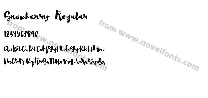Snowberry RegularPreview