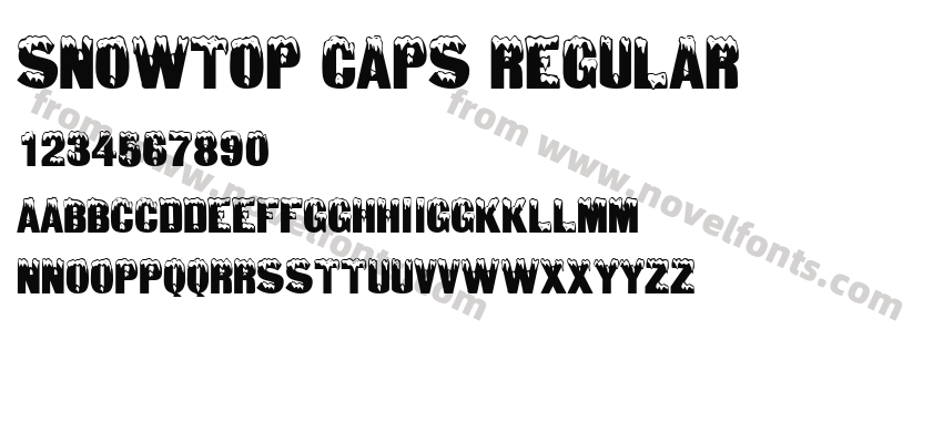 Snowtop Caps RegularPreview