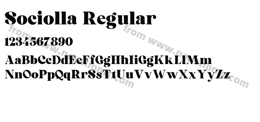 Sociolla RegularPreview