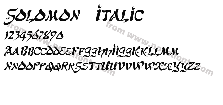 Solomon ItalicPreview