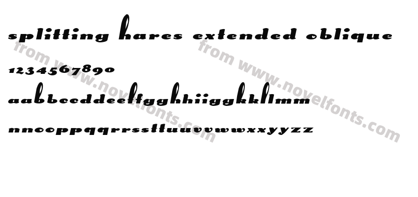 Splitting Hares Extended ObliquePreview