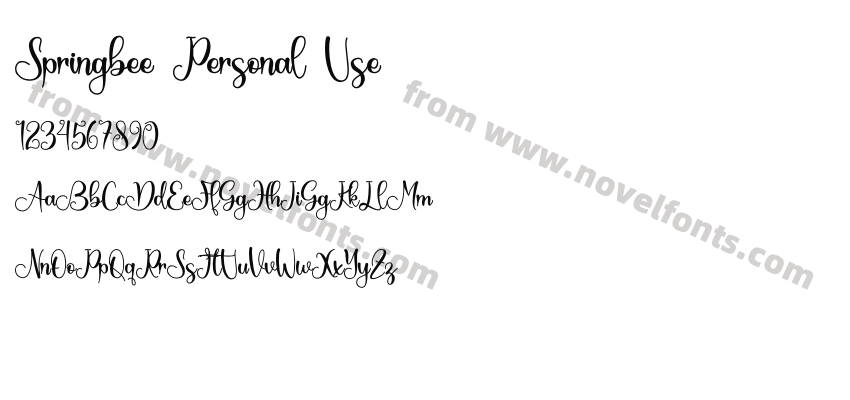 Springbee Personal UsePreview