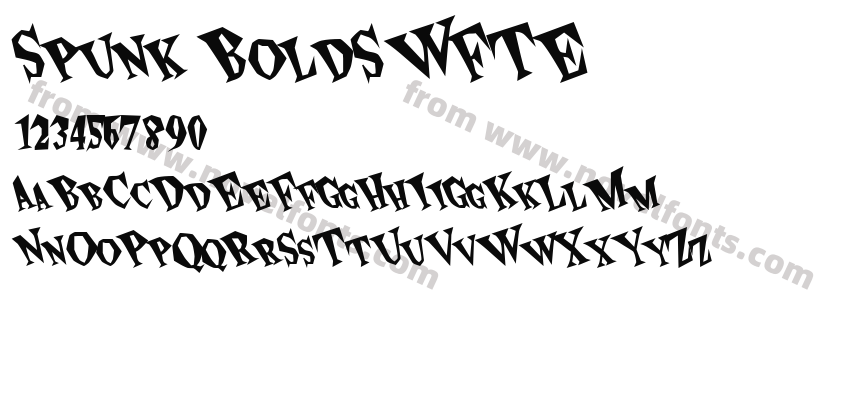 Spunk BoldSWFTEPreview