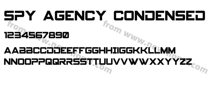 Spy Agency CondensedPreview