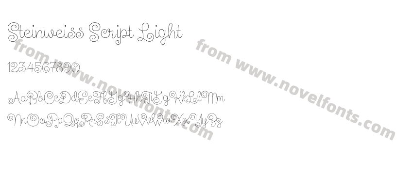 Steinweiss Script LightPreview