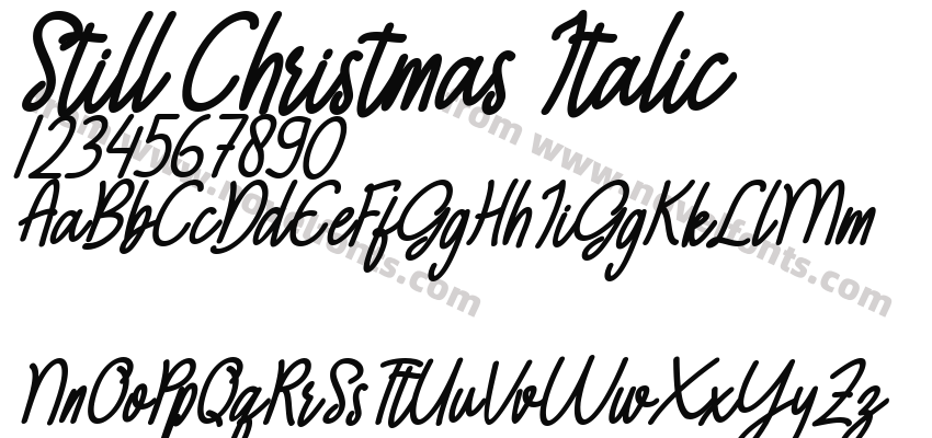 Still Christmas ItalicPreview