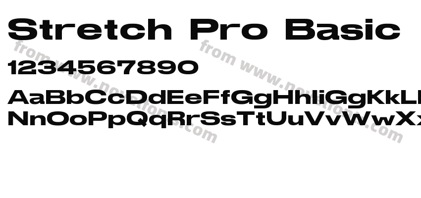 Stretch Pro BasicPreview