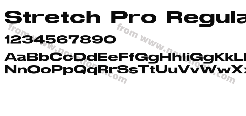Stretch Pro RegularPreview