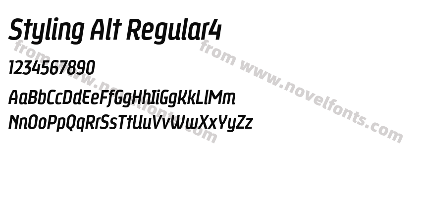 Styling Alt Regular4Preview