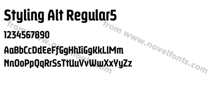 Styling Alt Regular5Preview
