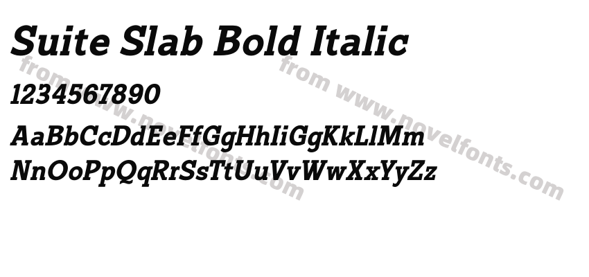 Suite Slab Bold ItalicPreview