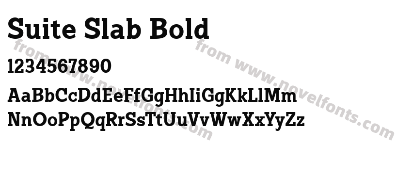 Suite Slab BoldPreview