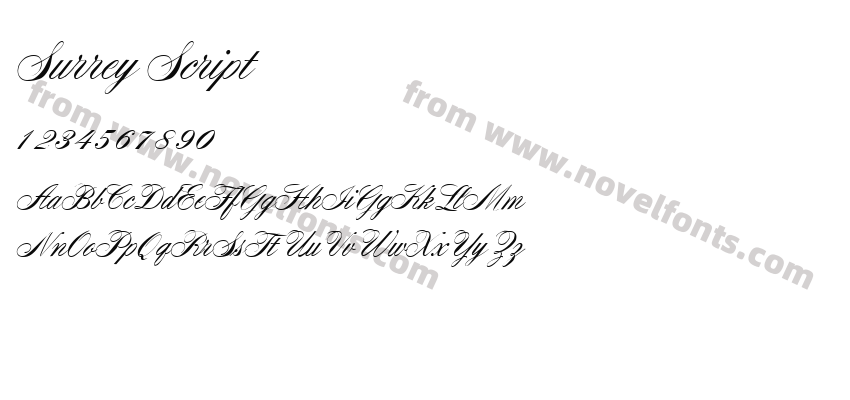 Surrey ScriptPreview