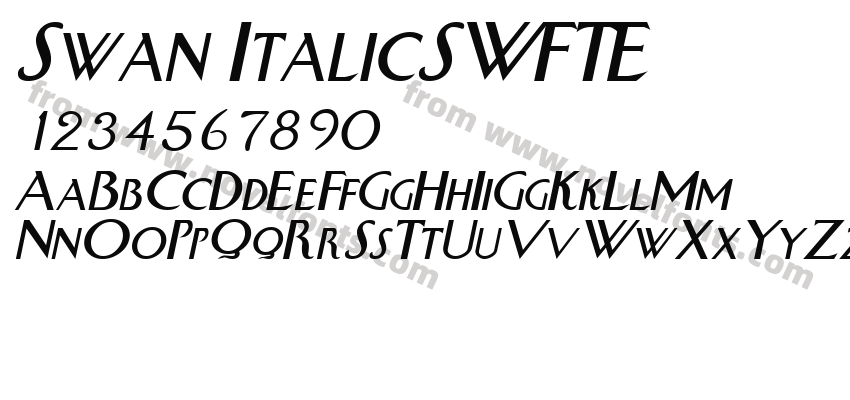 Swan ItalicSWFTEPreview