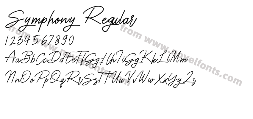 Symphony RegularPreview