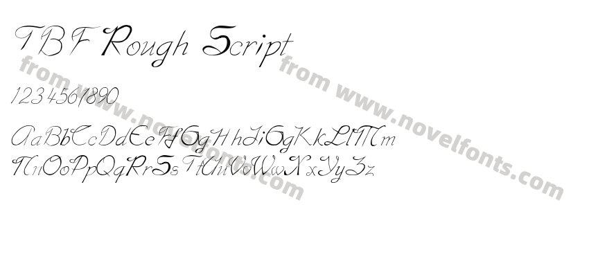 TBF Rough ScriptPreview