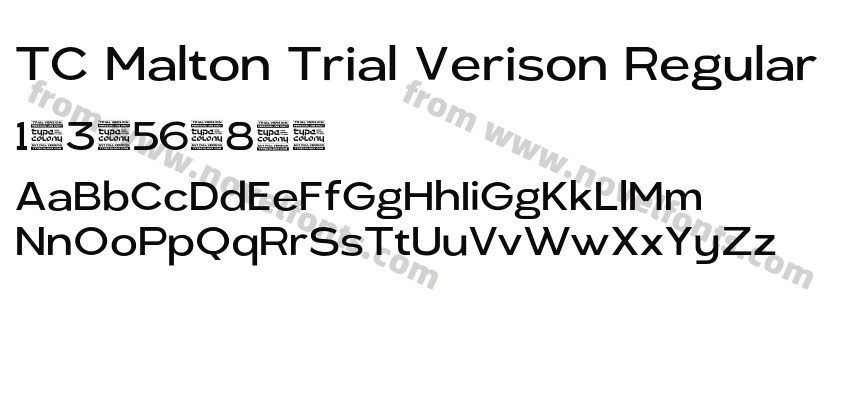 TC Malton Trial Verison RegularPreview