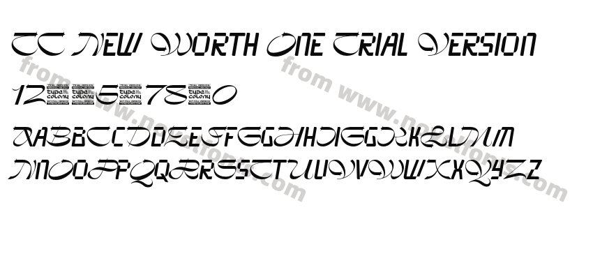 TC New Worth One Trial VersionPreview