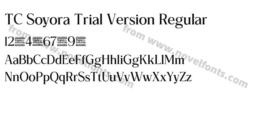 TC Soyora Trial Version RegularPreview