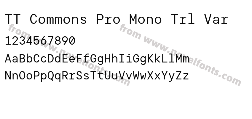 TT Commons Pro Mono Trl VarPreview