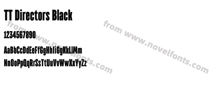 TT Directors BlackPreview