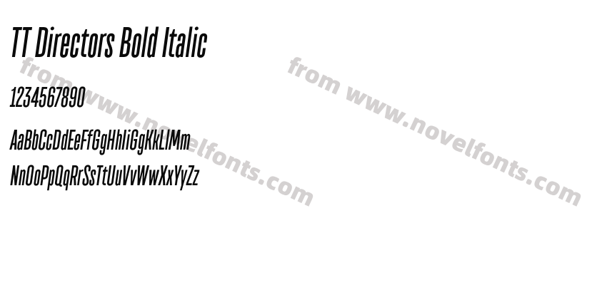 TT Directors Bold ItalicPreview