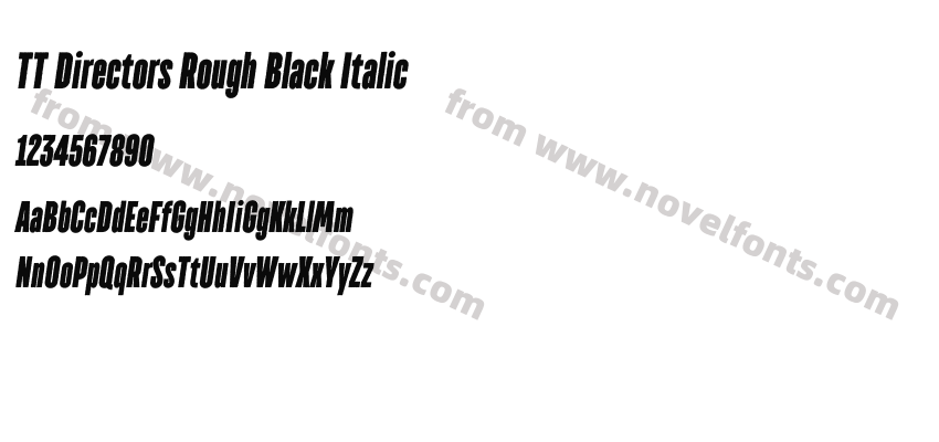 TT Directors Rough Black ItalicPreview