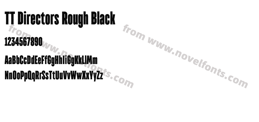 TT Directors Rough BlackPreview