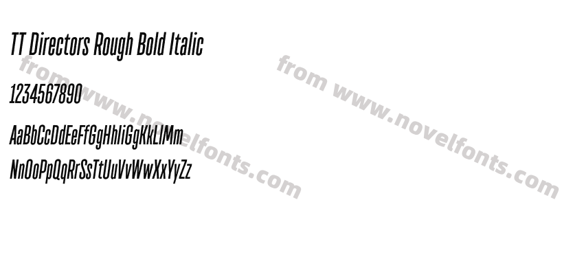 TT Directors Rough Bold ItalicPreview