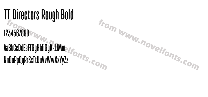 TT Directors Rough BoldPreview