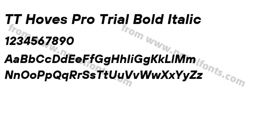 TT Hoves Pro Trial Bold ItalicPreview