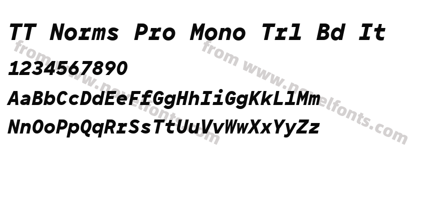 TT Norms Pro Mono Trl Bd ItPreview