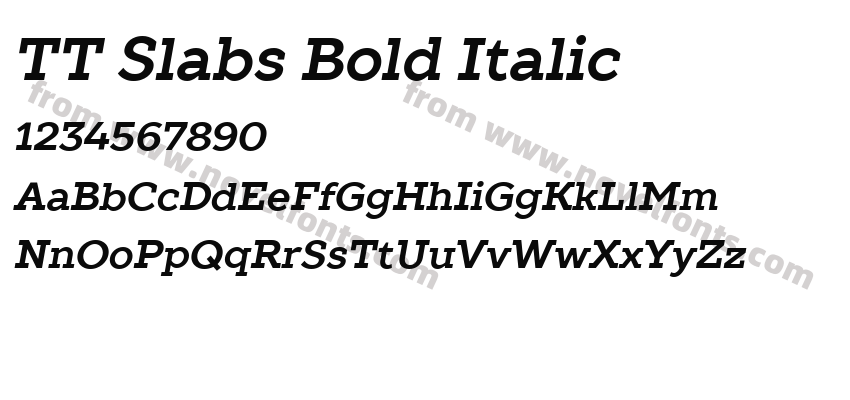 TT Slabs Bold ItalicPreview