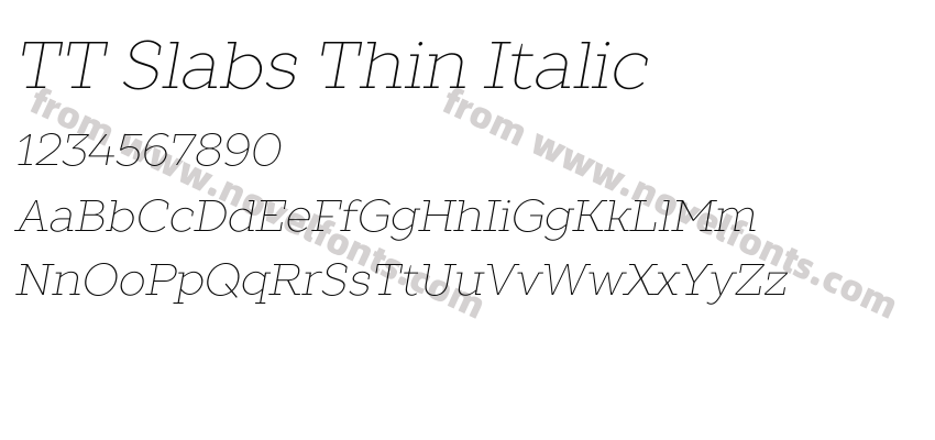 TT Slabs Thin ItalicPreview