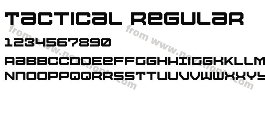 Tactical RegularPreview