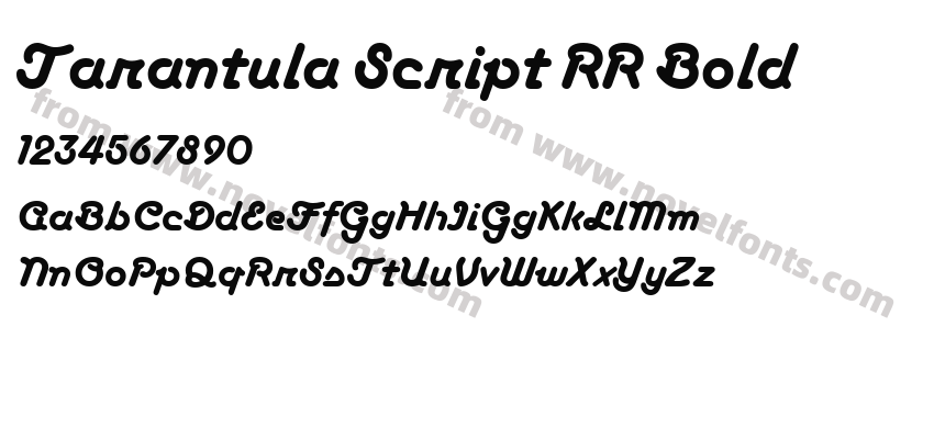 Tarantula Script RR BoldPreview