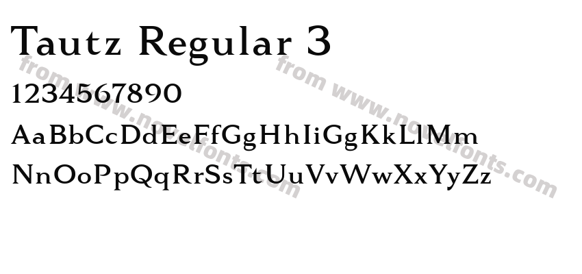 Tautz Regular 3Preview