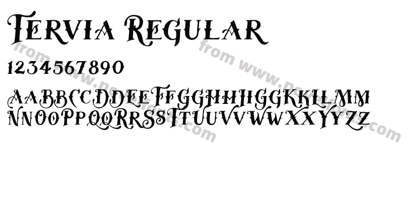 Tervia RegularPreview
