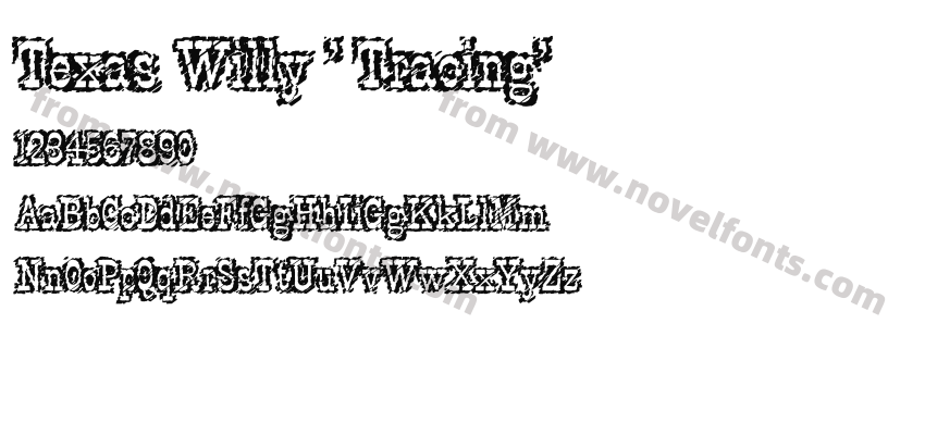 Texas Willy ' Tracing'Preview
