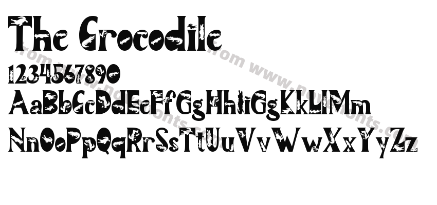 The CrocodilePreview
